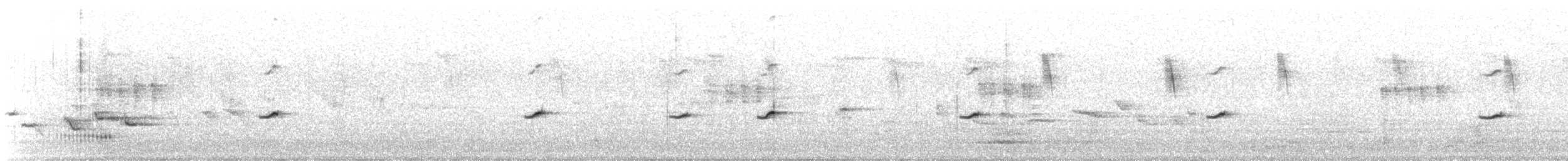 sørnattergal - ML637709923