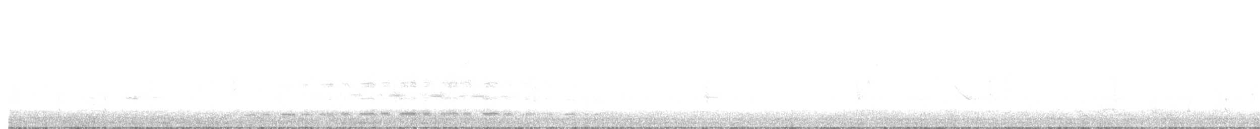 Magellanic Snipe - ML637710293