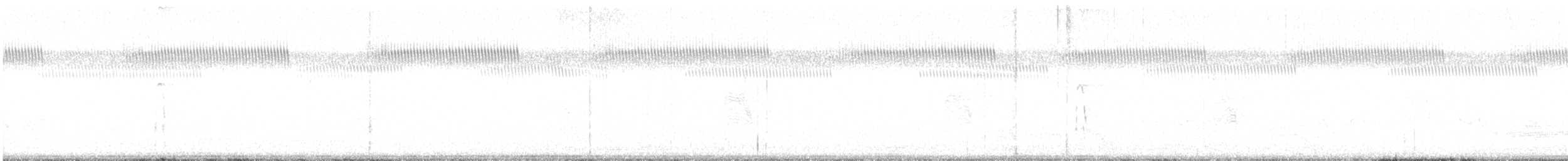 Pico Velloso (grupo villosus) - ML637710323