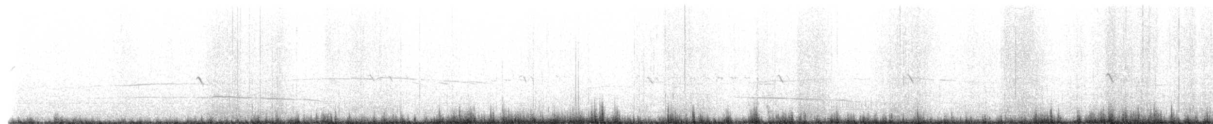 Collalba Gris - ML637710334