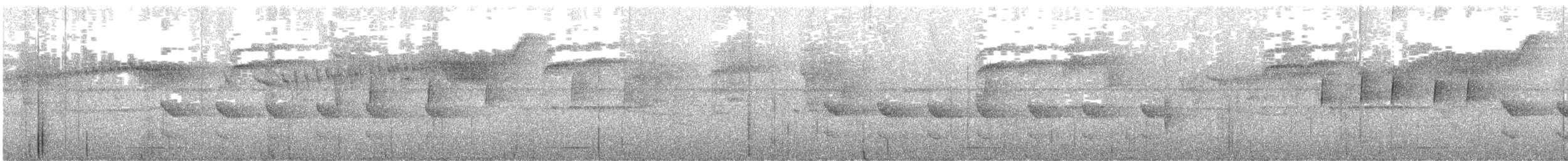 Western Woodhaunter - ML637711367