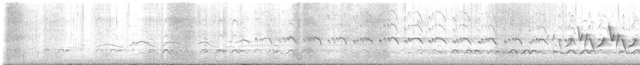 Willet - ML637711561