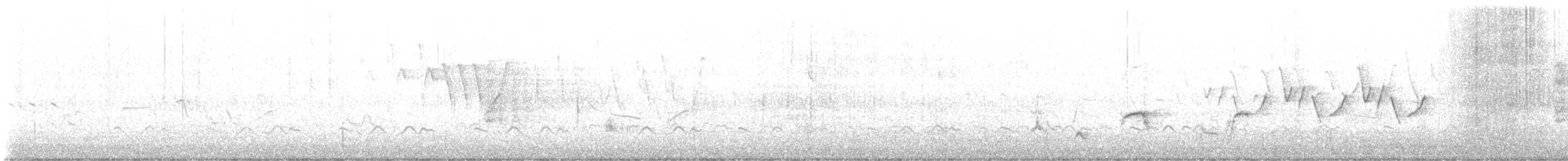 Nelson's Sparrow - ML637711630