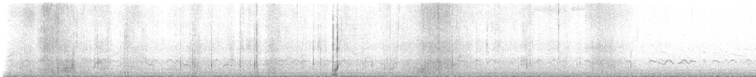 American Oystercatcher - ML637711718