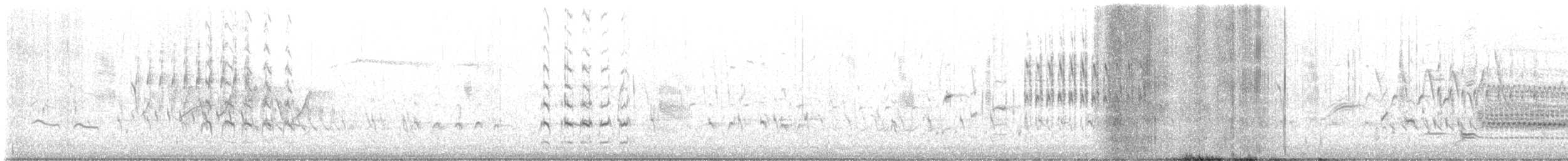 Marsh Wren - ML637711758