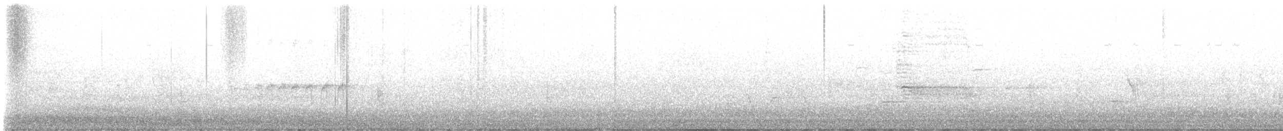 Ahate karolinarra - ML637715478