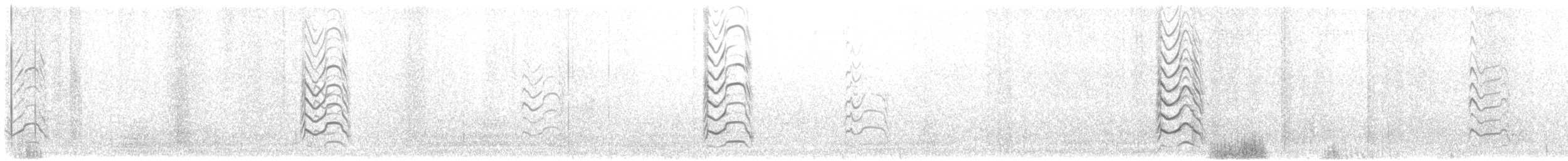 Antxeta mokogorri amerikarra - ML637715483