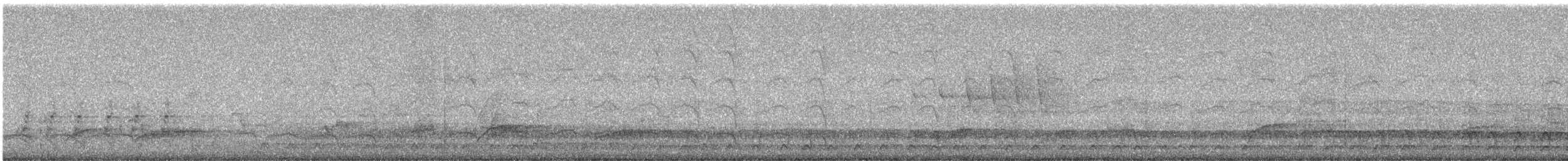 Pileated Woodpecker - ML637715840