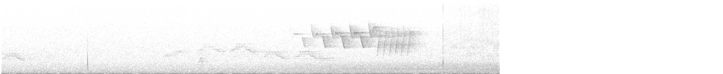 Nashville Warbler - ML637716284
