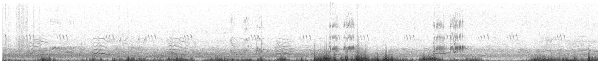 Western Grebe - ML637716364