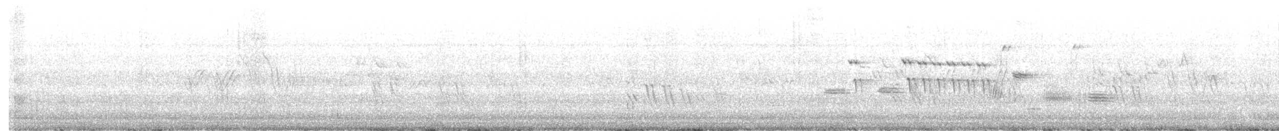 Song Sparrow - ML637716714