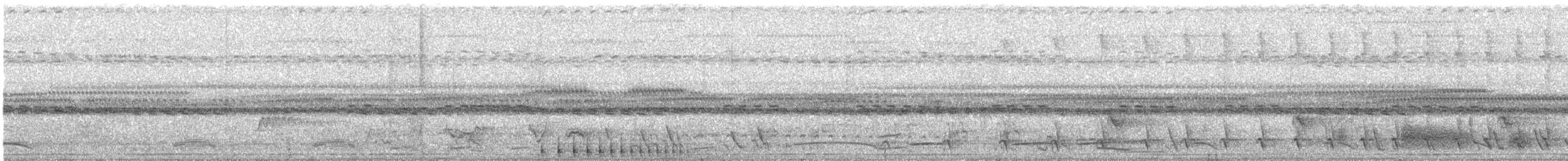Mato Grosso Antbird - ML637718197