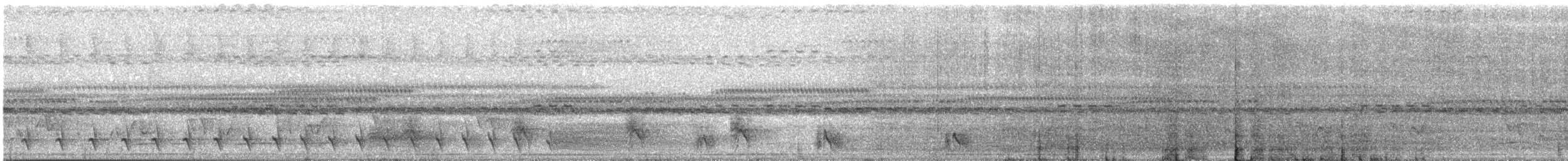 Great Antshrike - ML637718449