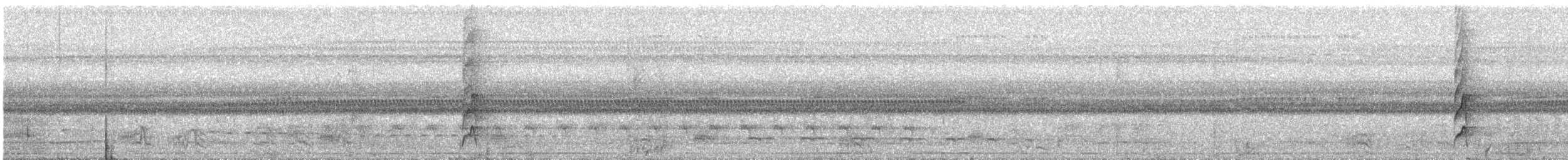 Rusty-backed Spinetail - ML637718522