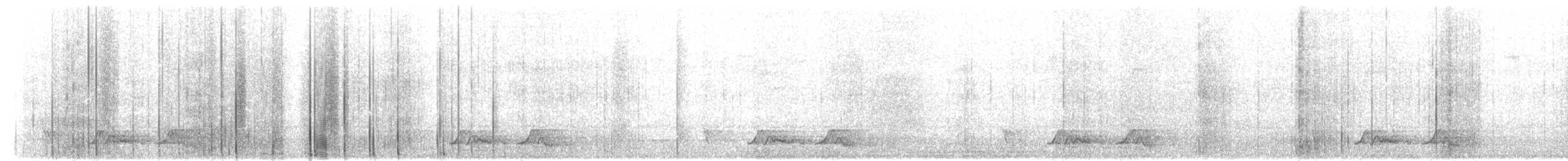 Chuck-will's-widow - ML637718557
