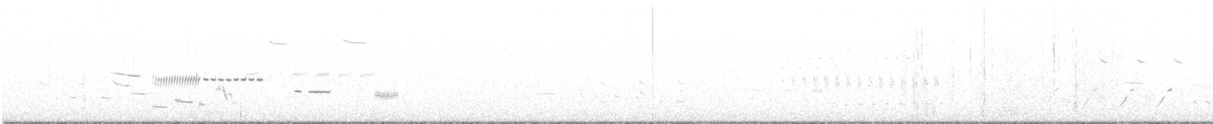 Cassin Serçesi - ML637719726
