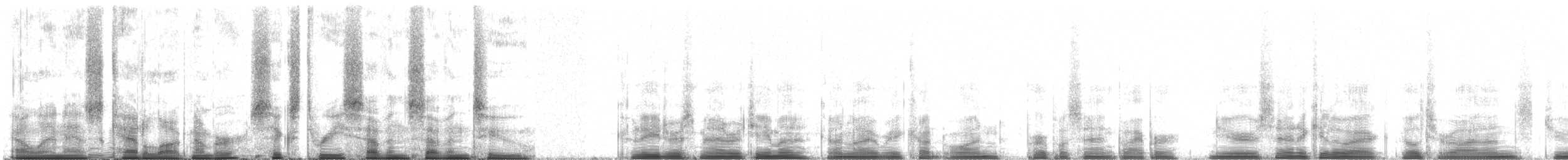 Purple Sandpiper - ML63772