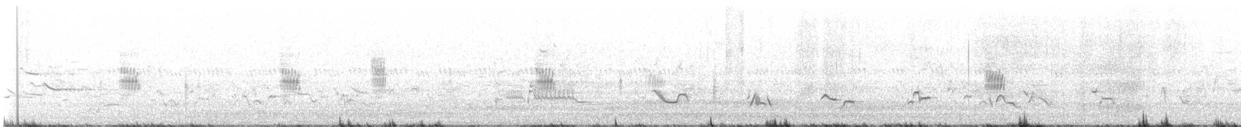Northern Rough-winged Swallow - ML637720402