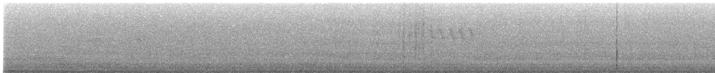 灰鶺鴒 - ML637720822