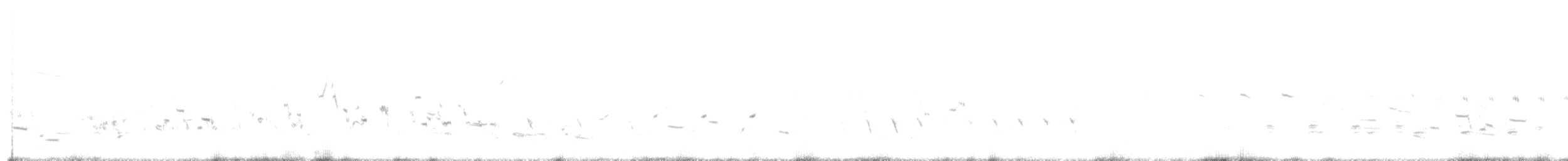 Plectrophane à ventre gris - ML637725957