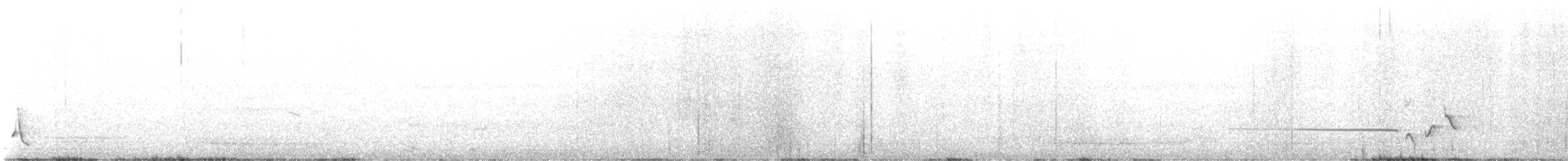 Japanese Bush Warbler - ML637726863