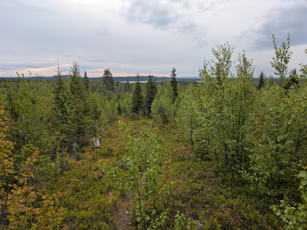 null - ML637728172