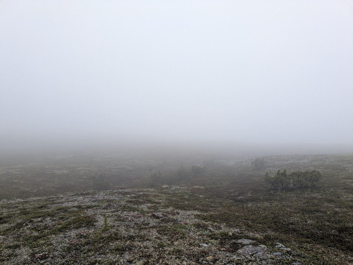 null - ML637728184