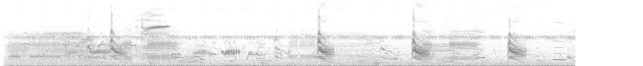 Forster's Tern - ML637728350