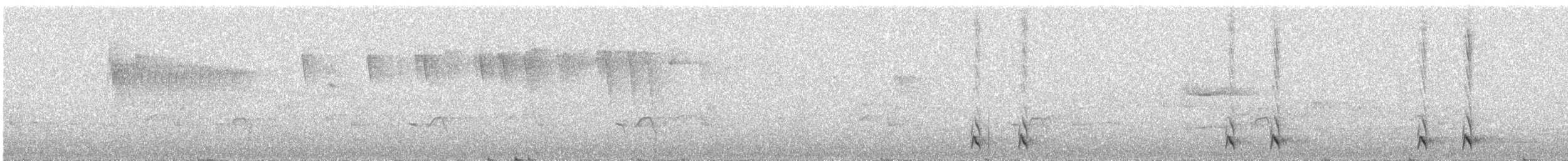 Blackish Tapaculo - ML637728670