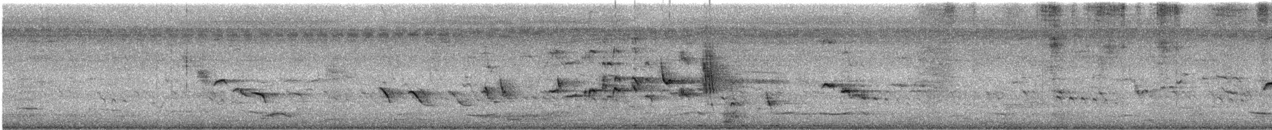 Asienkoel - ML637729041