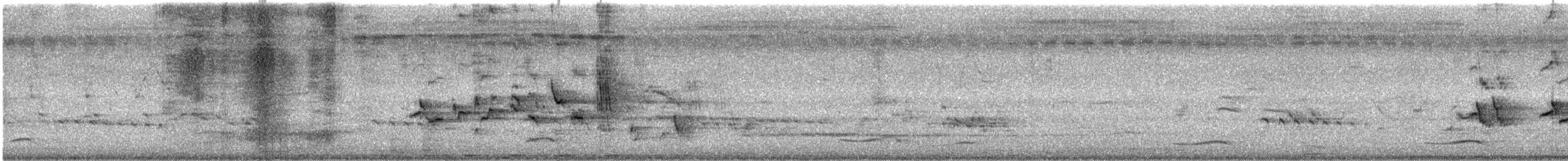 Asienkoel - ML637729043