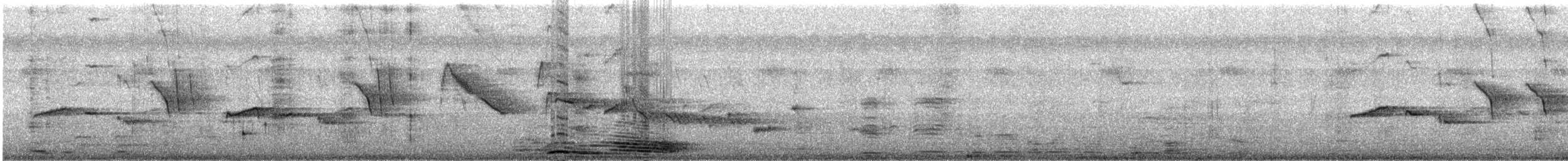 orientskjæreskvett - ML637729069