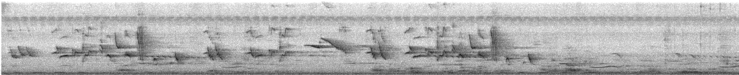 orientskjæreskvett - ML637729073