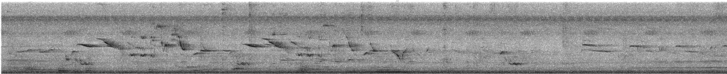 orientskjæreskvett - ML637729074