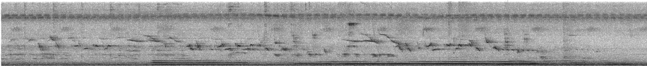 orientskjæreskvett - ML637729079