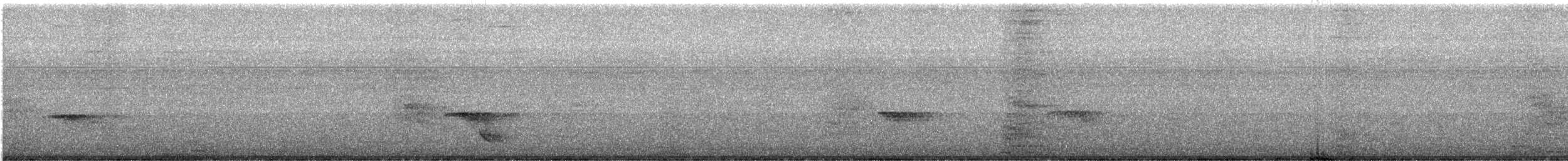 Drongo Real - ML637729386