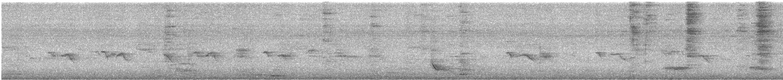 Drongo Real - ML637729394