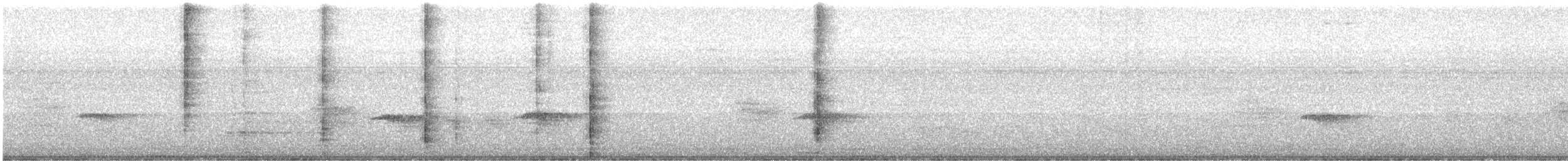 Drongo Real - ML637729401