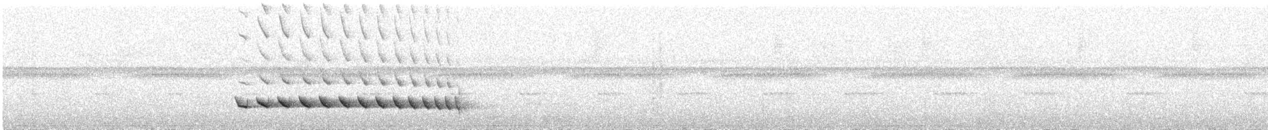 Bicolored Antvireo - ML637729875