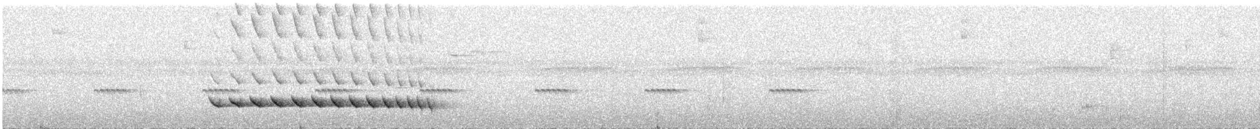 Bicolored Antvireo - ML637729876