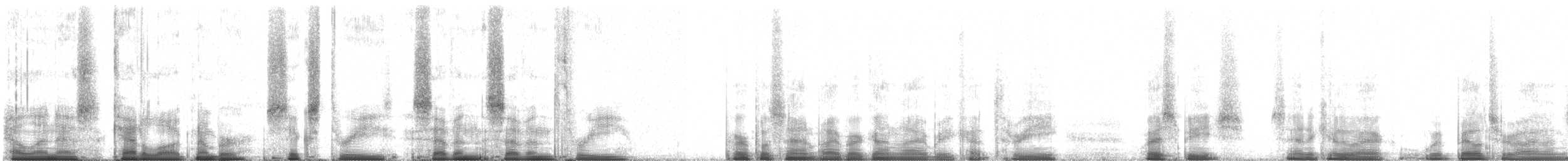 Purple Sandpiper - ML63773