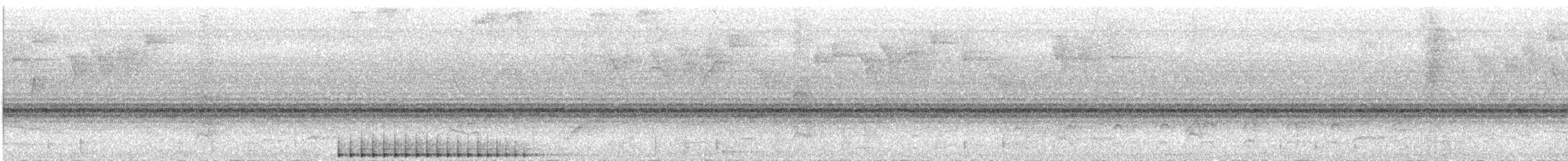 Lineated Woodpecker - ML637730131