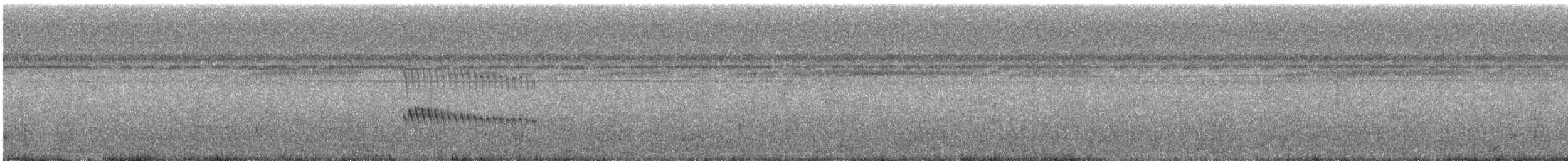 Sapayoa - ML637730432