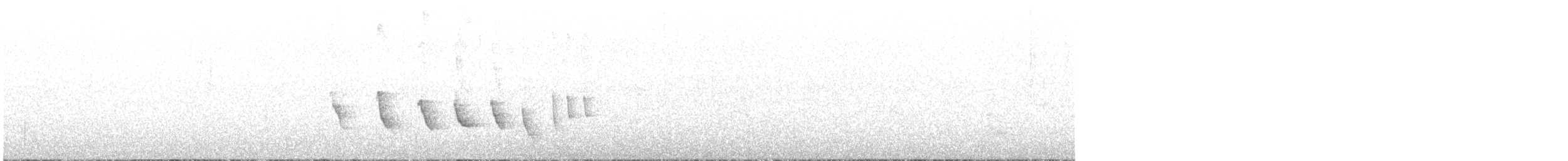 Noisy Scrub-bird - ML637731581