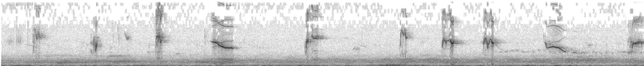 Cape Wagtail - ML637732182