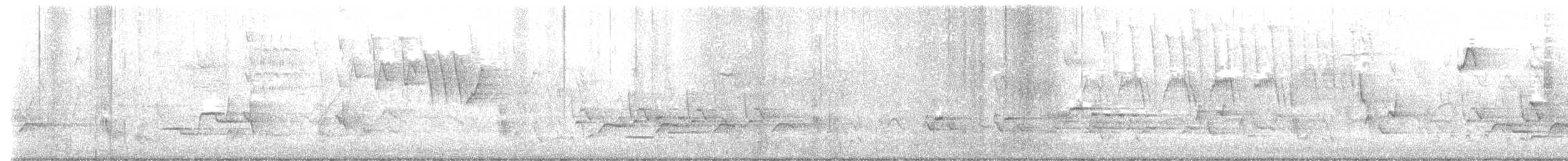 Wood Thrush - ML637732774