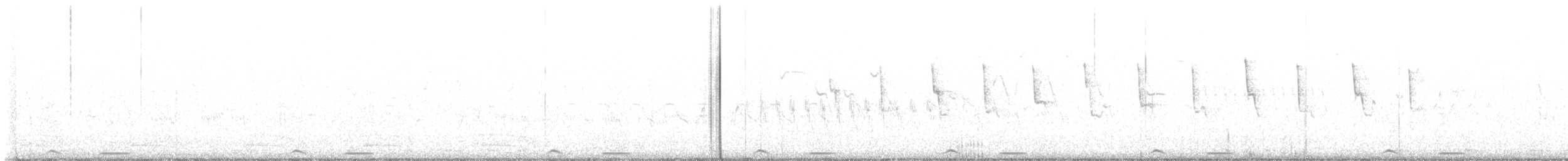 Cuco Común - ML637733931