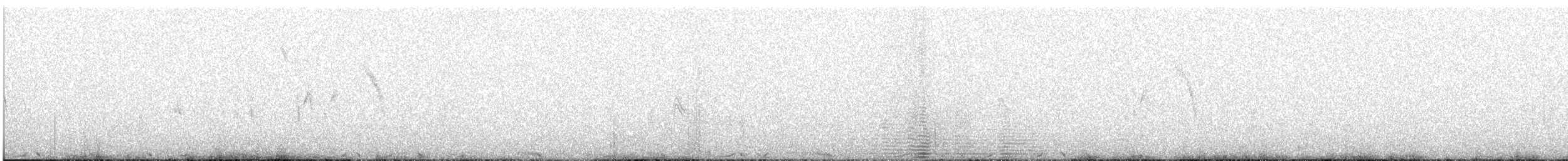 Hill Pigeon - ML637734214
