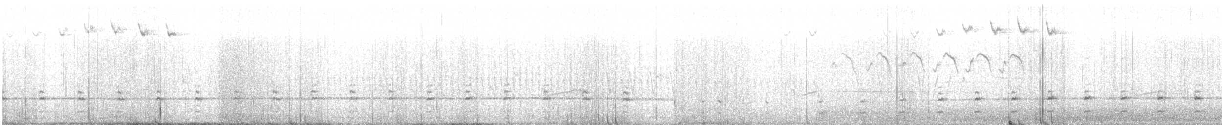 Agachadiza de Wilson - ML637737361