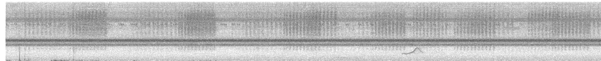 Common Pauraque - ML637738931